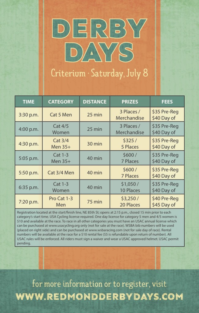 DD17-Criterium-DigitalFlyer copy