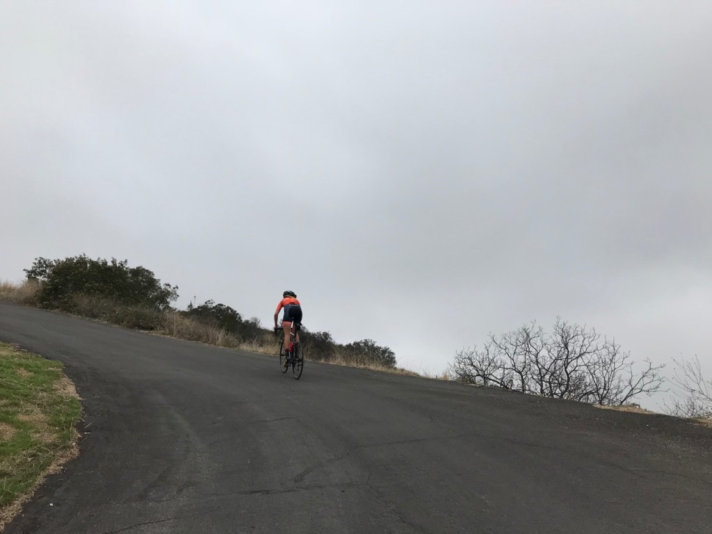 Another Canyon.....