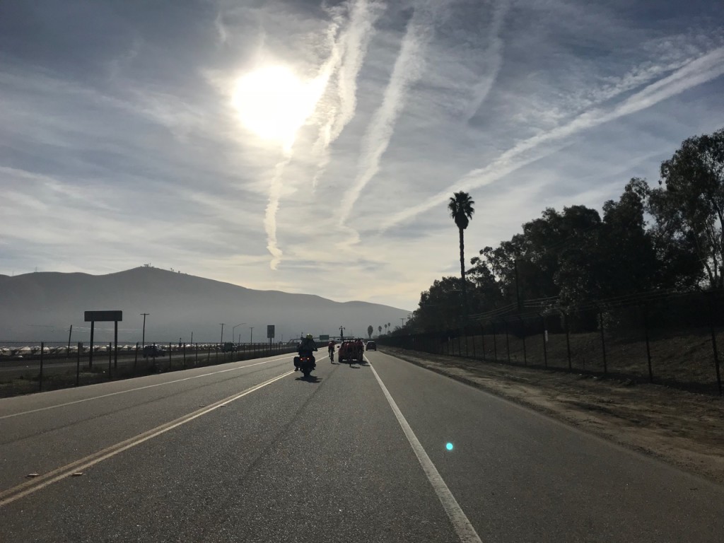PCH Rally Cats
